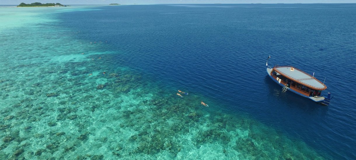 Cocoon Maldives Snorkeling tour