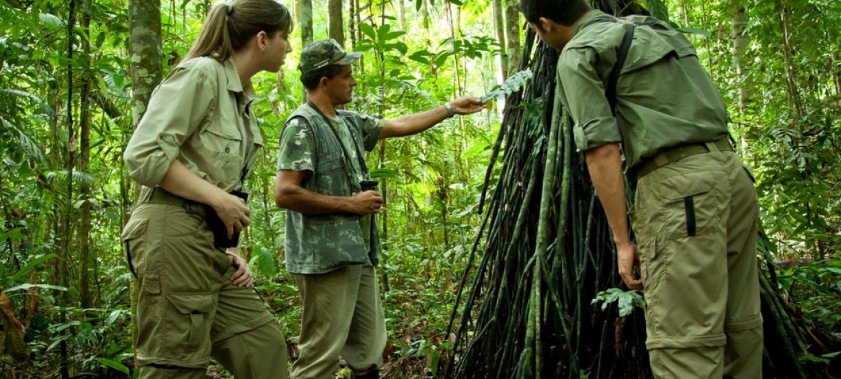 Cristalino Jungle Lodge, Brazil