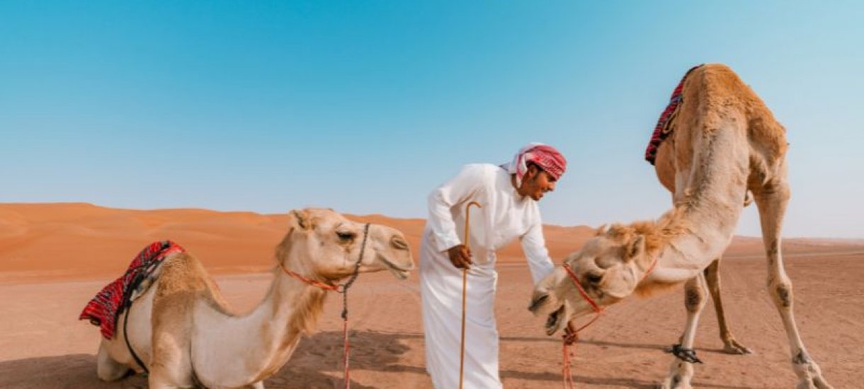 Desert Nights Camp Camels Desert Nights Camp Camels