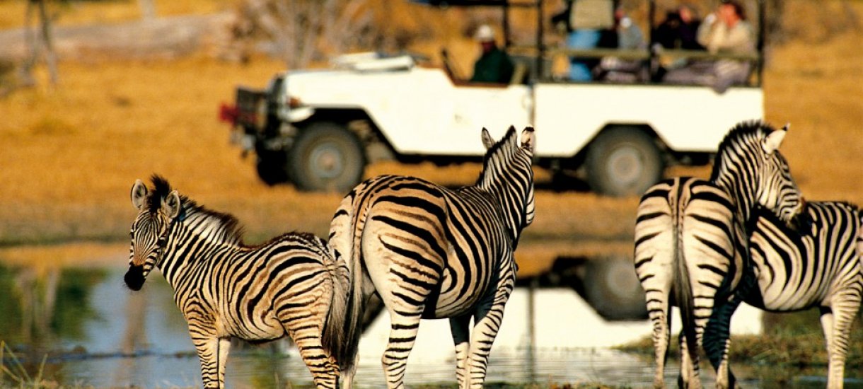 Seeproja Krugerin kansallispuistossa, Mpumalanga
