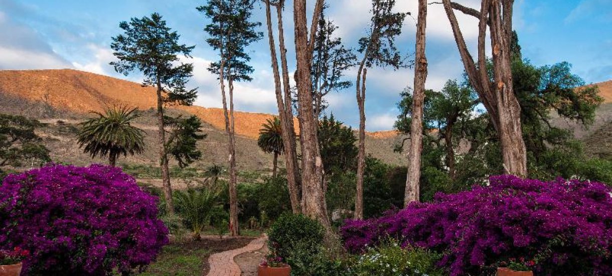 Beyond Quito, Hacienda piman