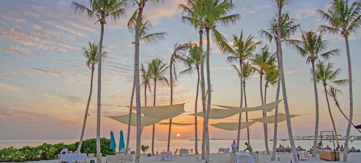 Joy Island Palm Beach restaurant