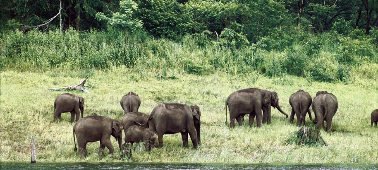 Kerala, Periyar