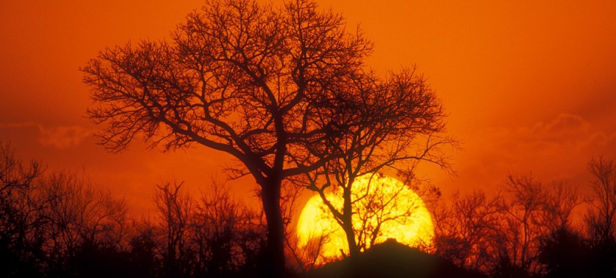 Auringonlasku Krugerin kansallispuisto, Mpumalanga
