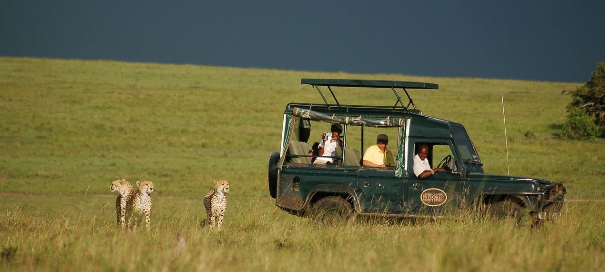 Kenia Masai Mara Intrepid Leopardit