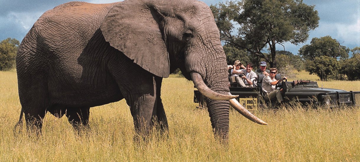 Mala Mala game reserve, Krugerin kansallispuisto, Mpumalanga