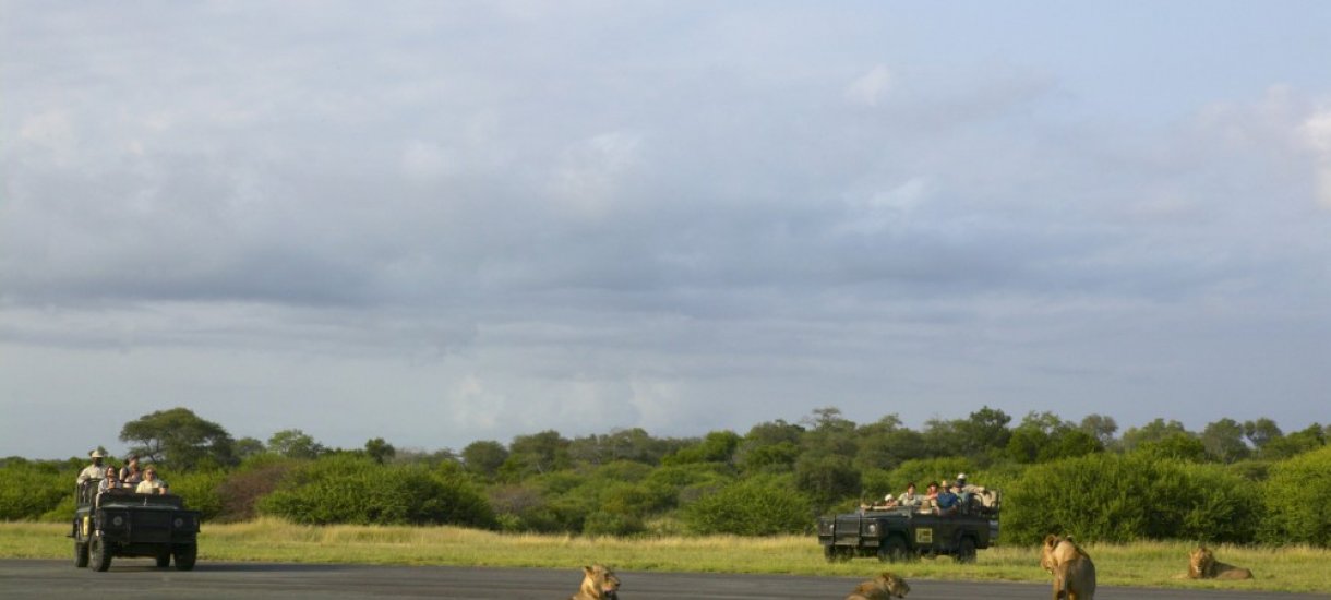 Mala Mala game reserve, krugerin kansallispuisto, Mpumalanga