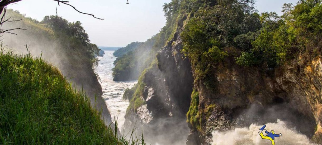 Uganda, gorillasafari,  vuorigorilla