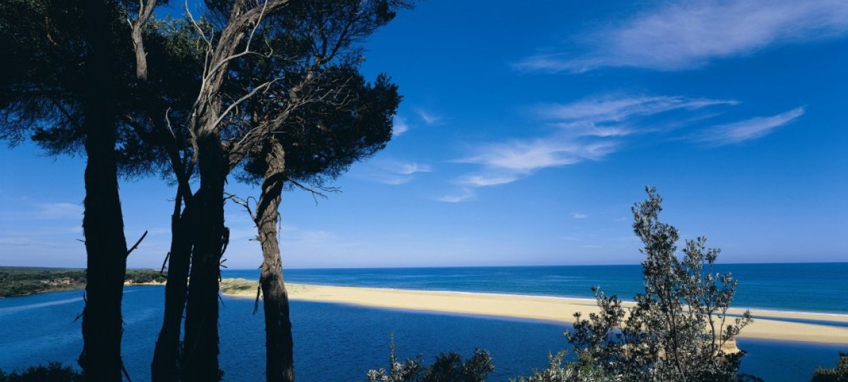 Ninety Mile Beach