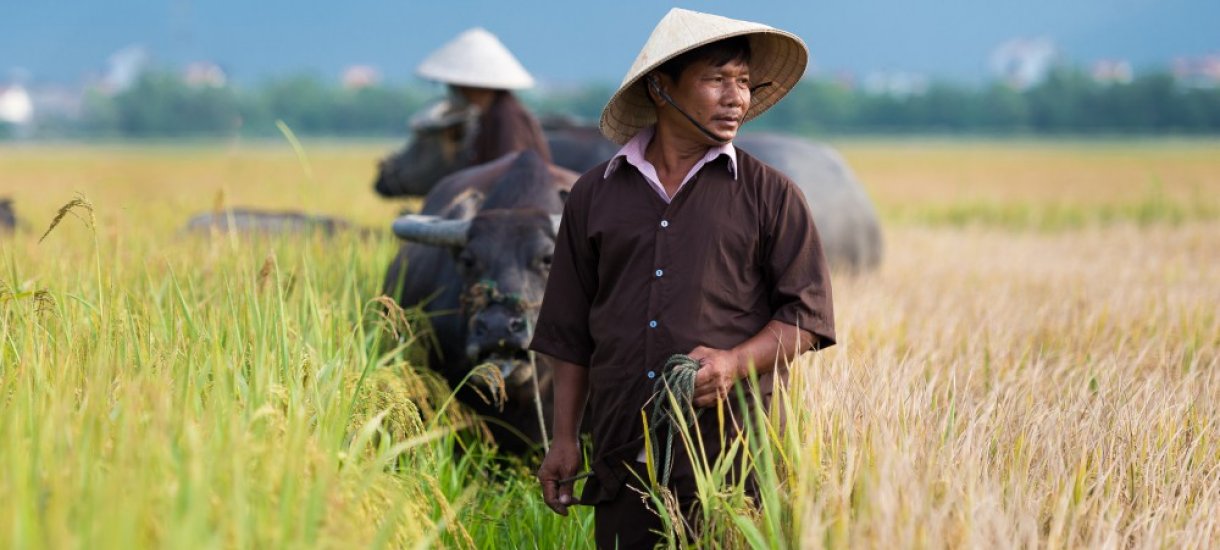 Vietnam, Kambodza