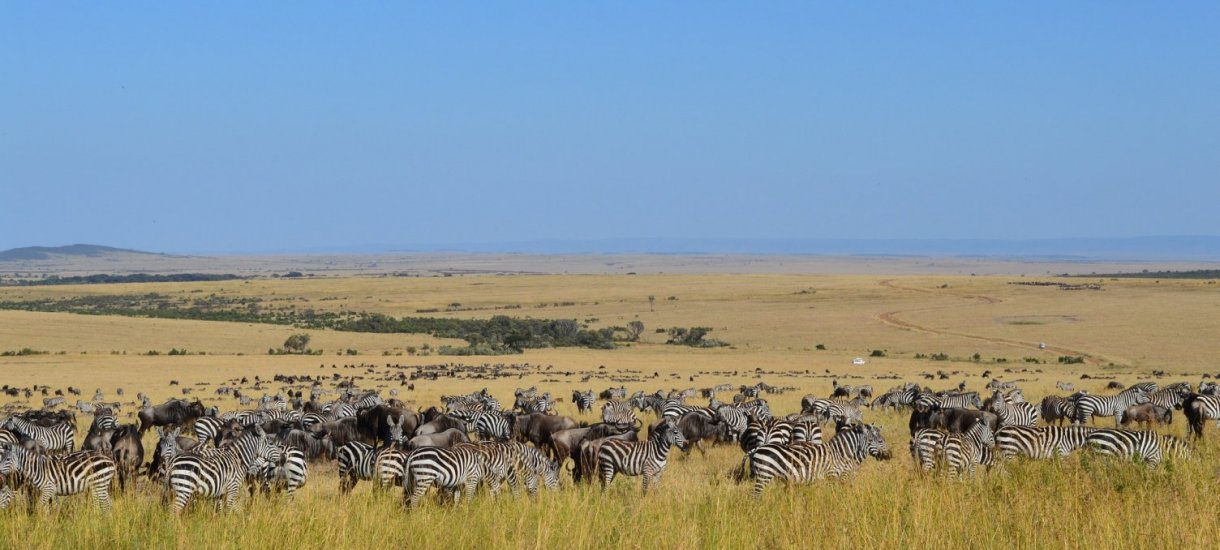 Kenia Masai Mara seeproja
