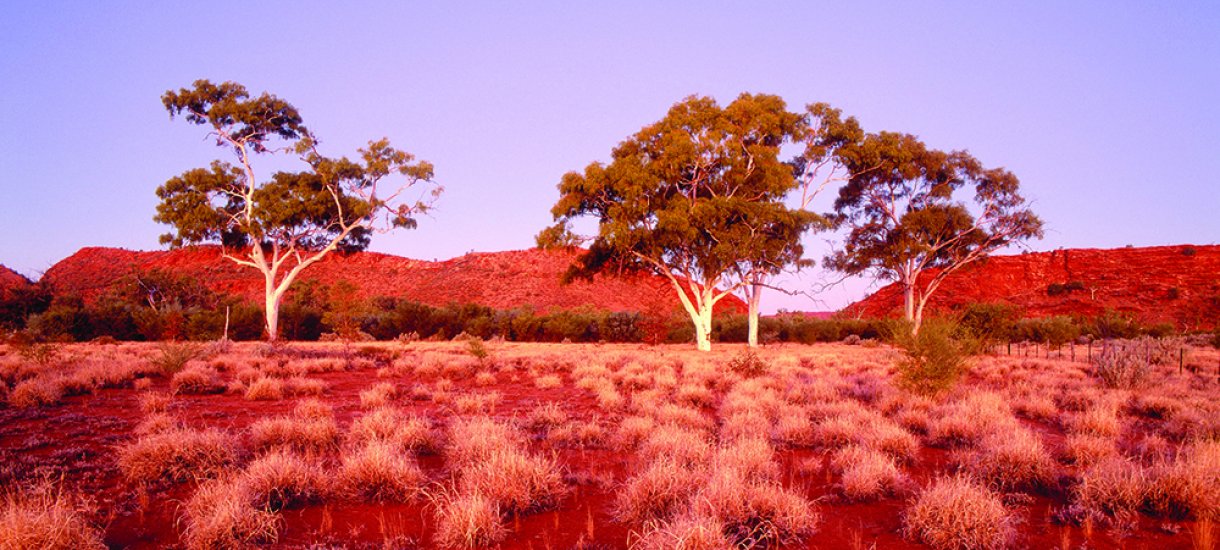 Uluru the red centre
