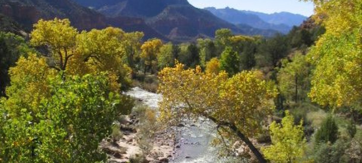 Zion kansallispuisto, Utah