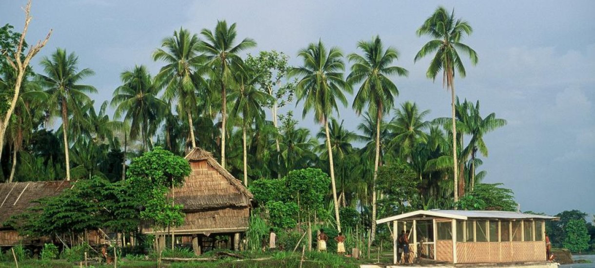 Papua uusi-guinea