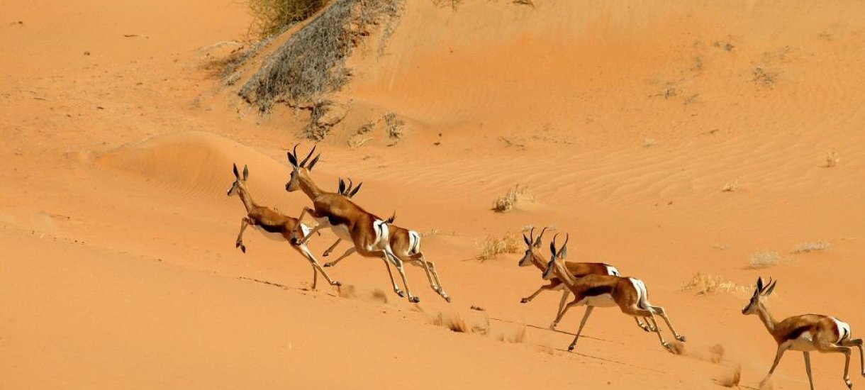 Namibia