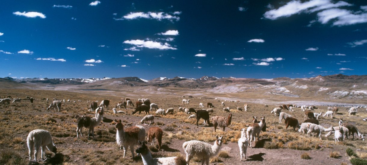 Peru