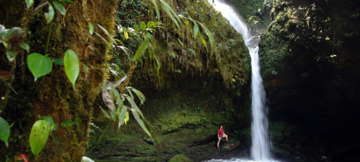 Papua uusi-guinea