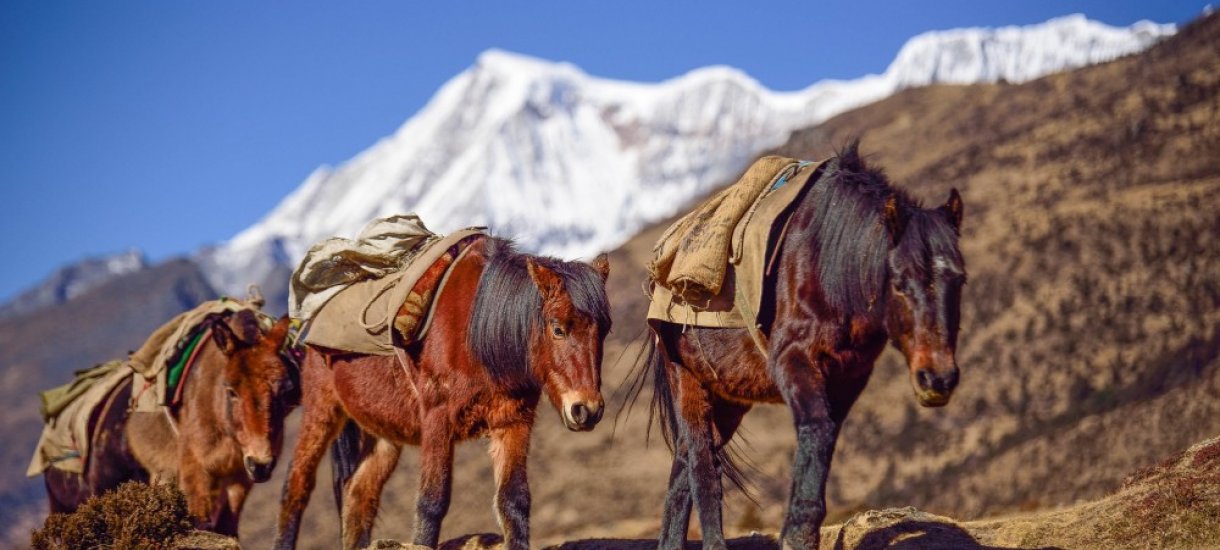 Bhutan