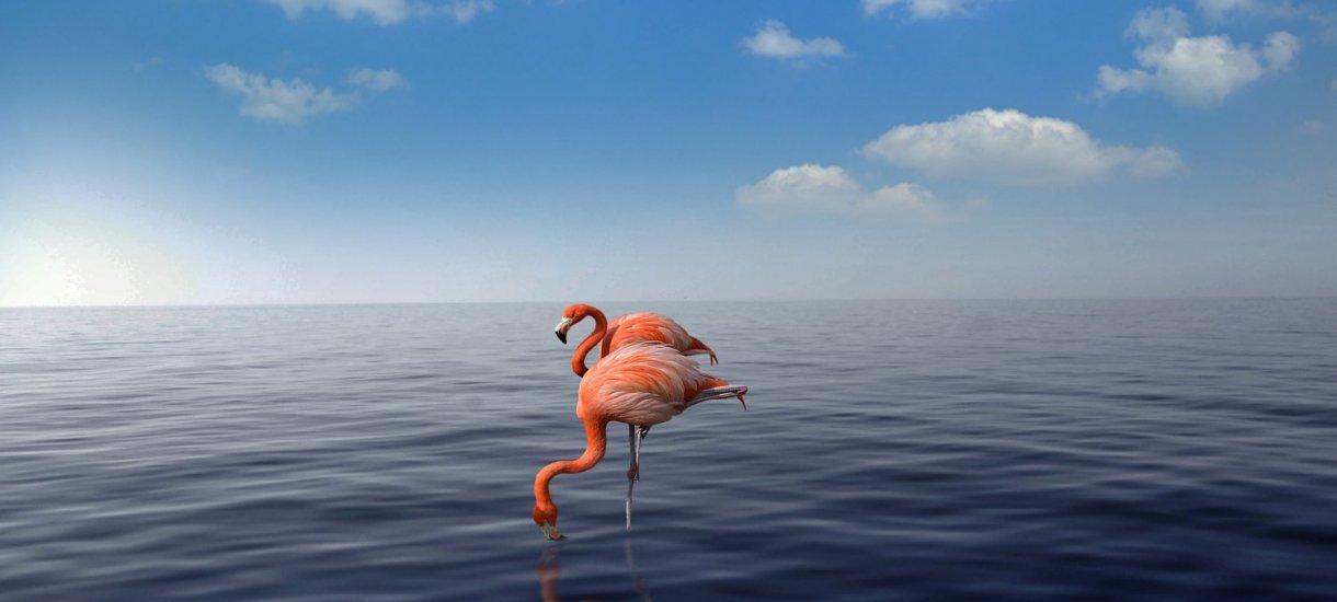 Flamingot