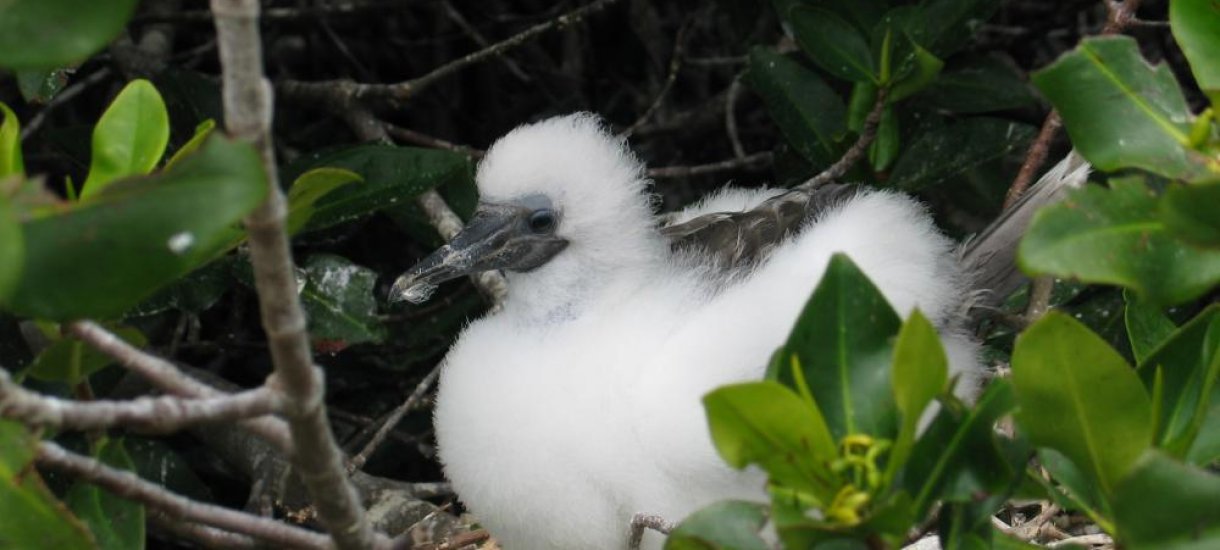 Ecuador