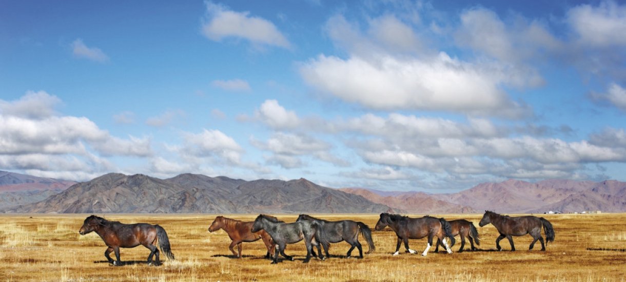 Mongolia