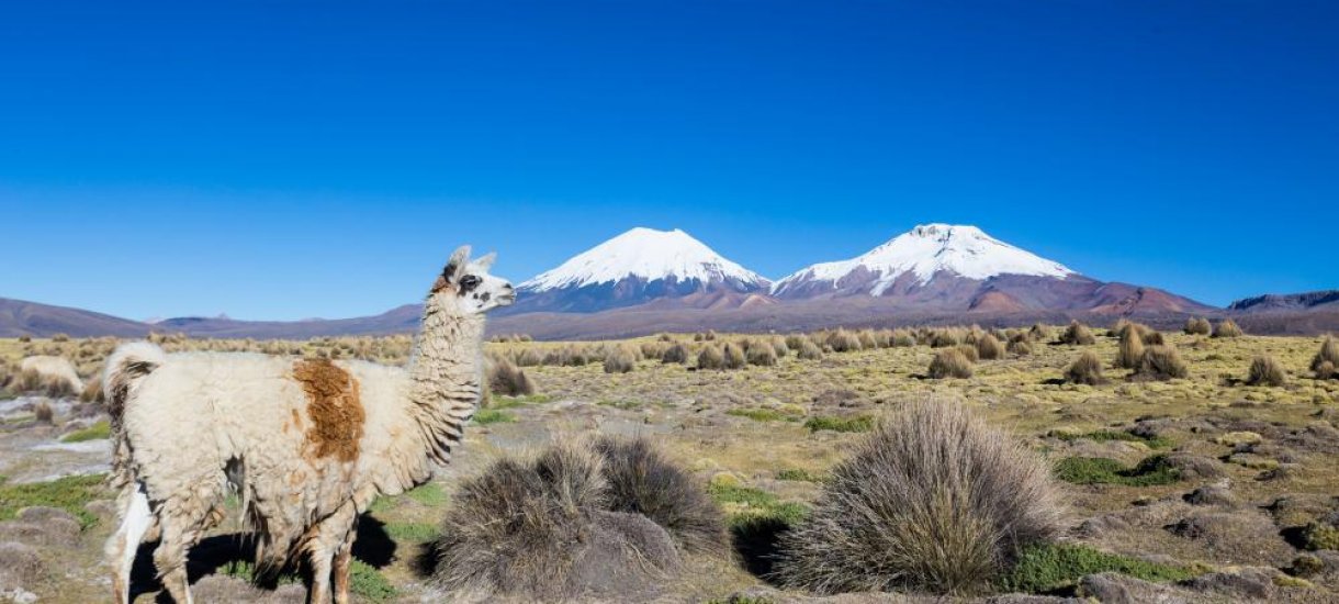 Bolivia