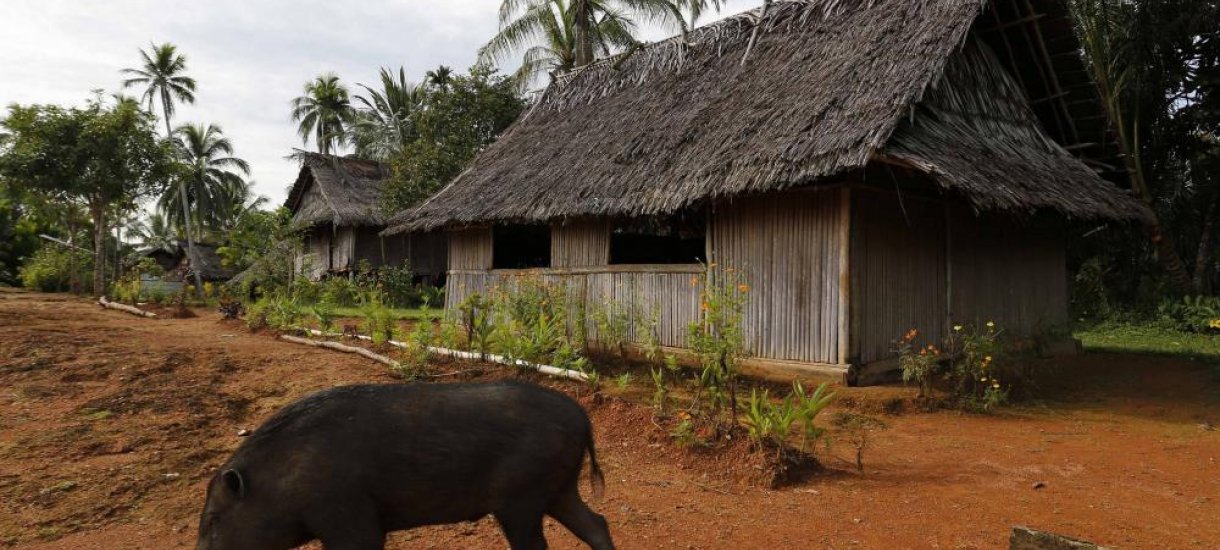 Papua uusi-guinea