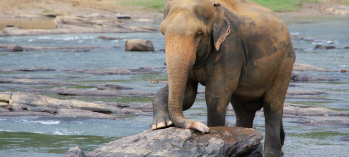 Sri Lanka